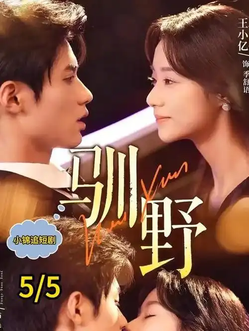 漫长的季节剧集封面